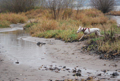 DSC_0056.jpg