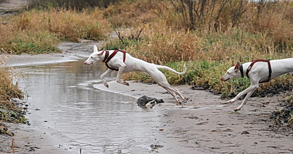 DSC_0057.jpg
