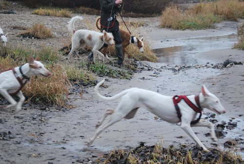 DSC_0050.jpg