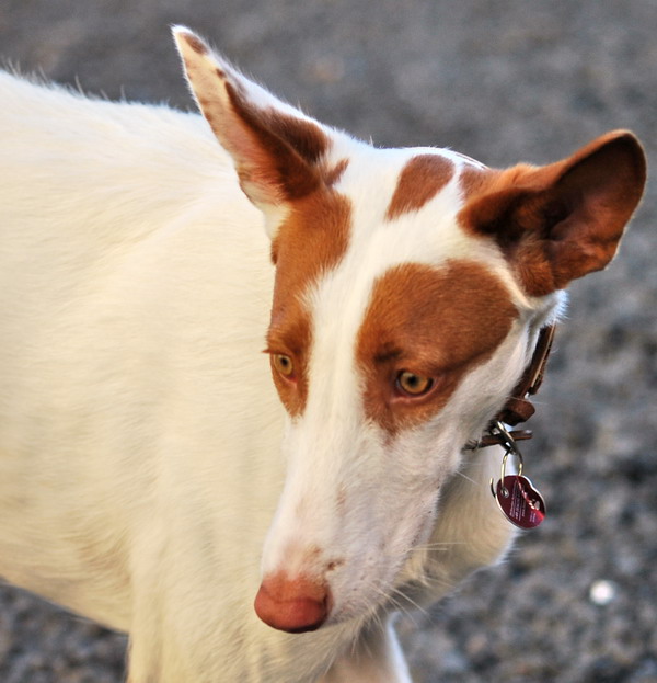 DSC_0967.jpg