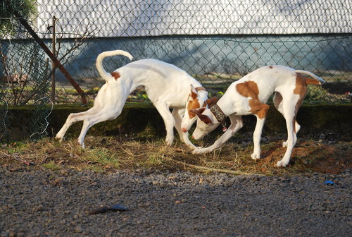 DSC_0973.jpg