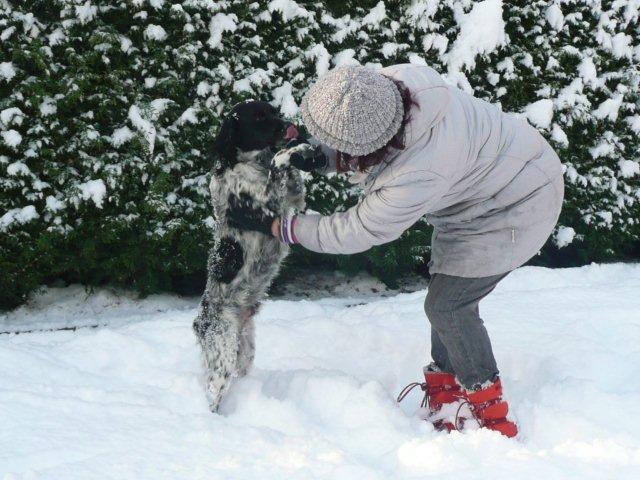 12 Winter im Garten.jpg