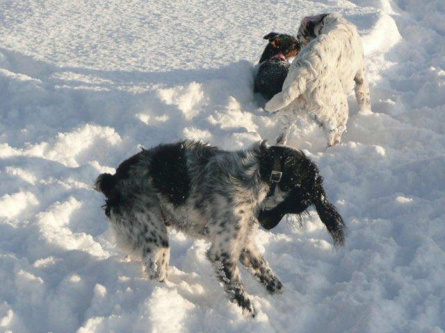 13 noch mehr Schnee.jpg