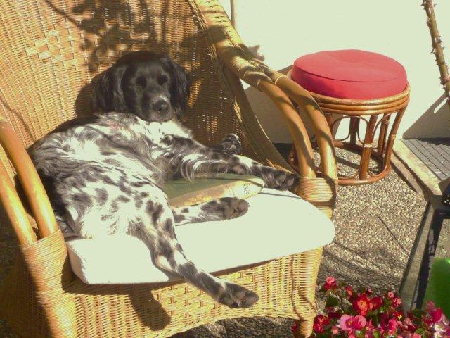 7. relaxen.jpg