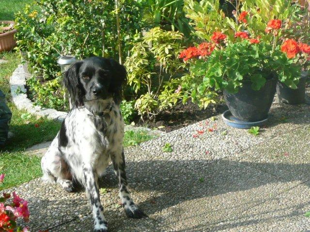 6. Oktobersonne im Garten.jpg