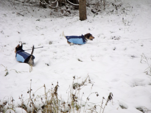 Urlaub Deutschland und Vorweihnachtszeit2010 013.jpg