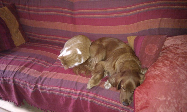IMAG0123.jpg