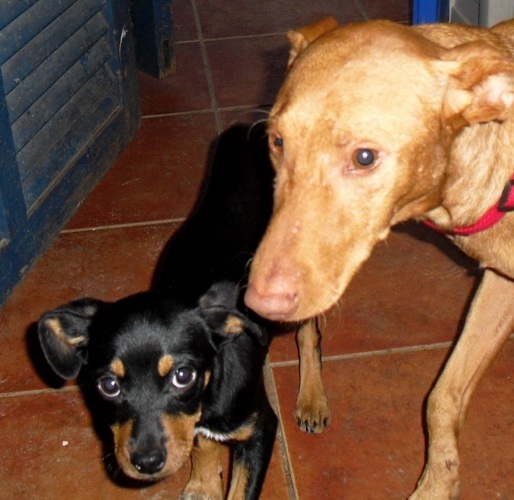 yoli mit Jimmy.jpg