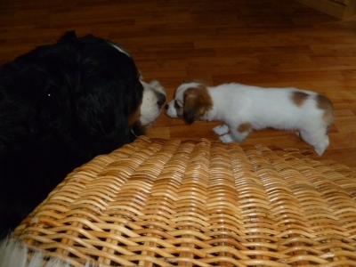 Marlon & Motte 1.jpg
