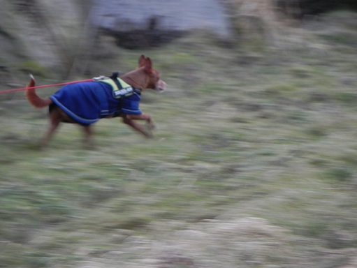 DSCN0019.JPG