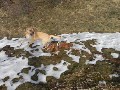 DSCN0042.JPG