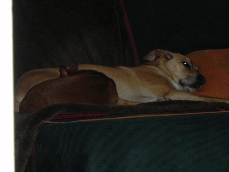 DSCN0308.JPG
