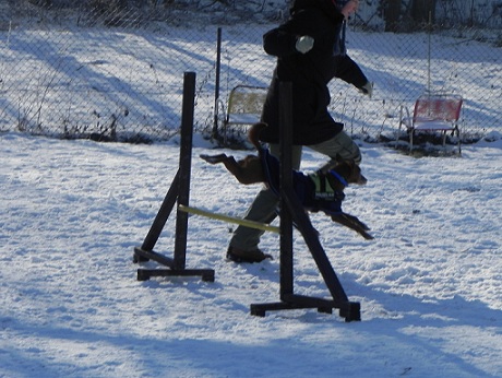 DSCN0337.JPG
