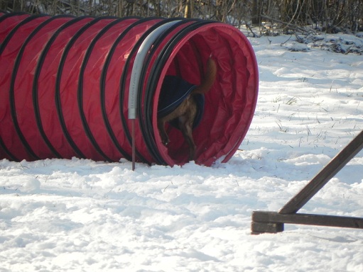 DSCN0338.JPG