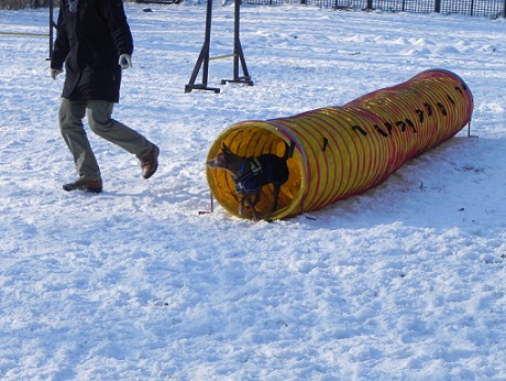 DSCN0342.JPG