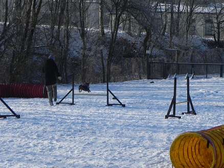DSCN0343.JPG
