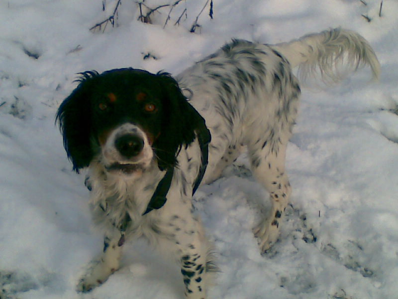 Bild000.jpg