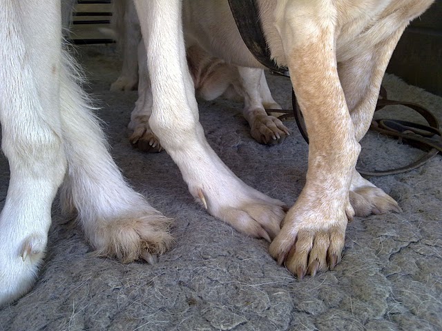 09022011580.jpg