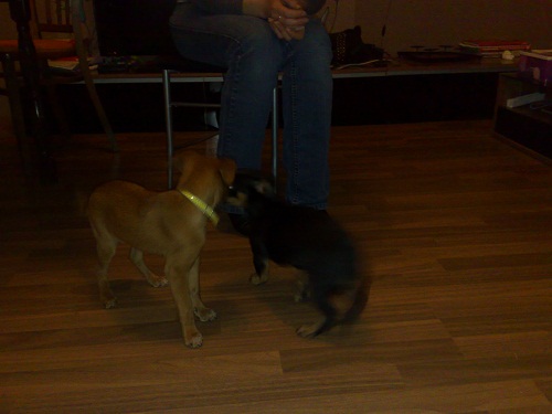 10022011010.jpg
