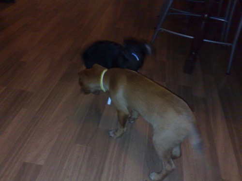 10022011011.jpg