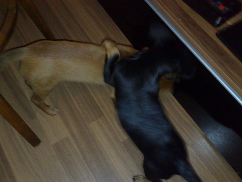 10022011015.jpg