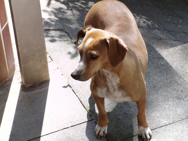 PICT0021.jpg