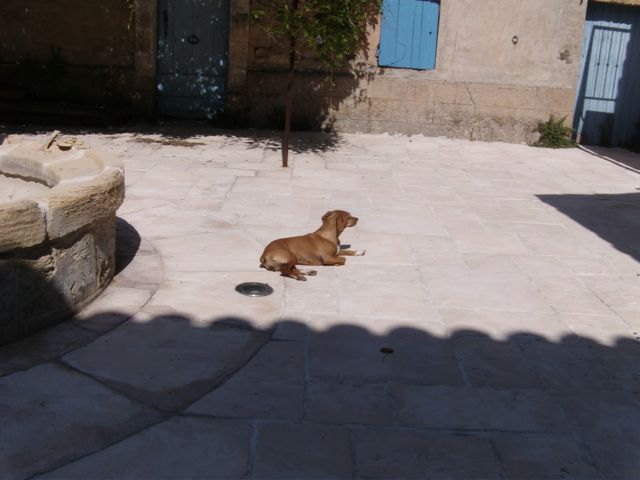 PICT0071.jpg