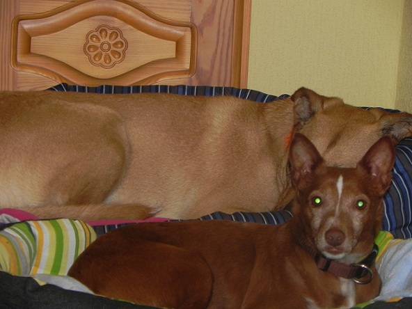 DSCN0665.JPG