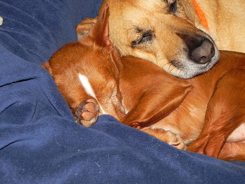 DSCN0695.JPG