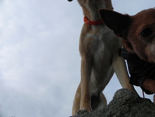 DSCN0708.JPG