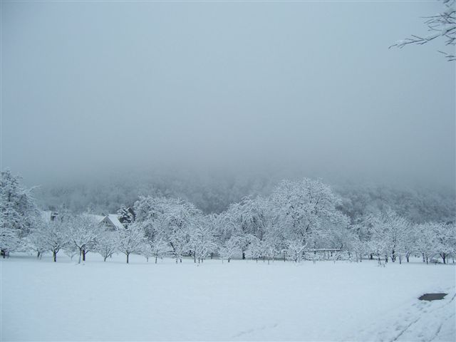 3 045.jpg
