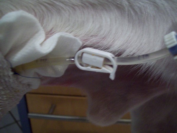 sonde_006_600x450.JPG