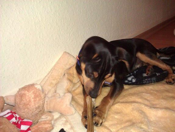 Neues Bild2.JPG
