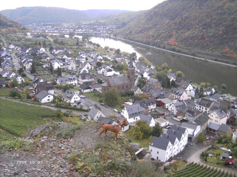 rüdi auf Felsen.jpg