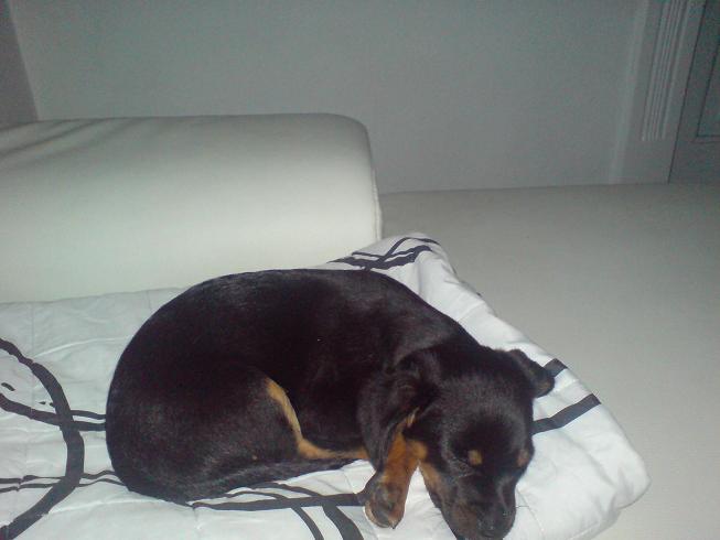 Bild 059.jpg