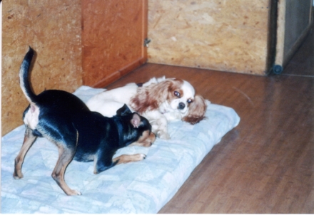 Chico_Peggy_sm.jpg