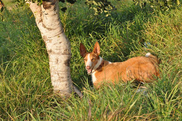 HaM-Pflgst_Nicole_18022011_31 (Klein).JPG