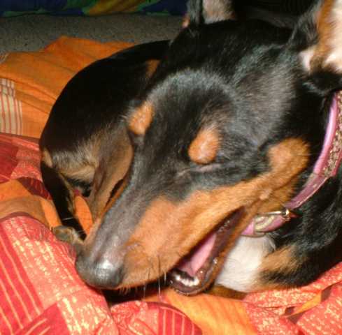 K640_Lilly nach Beelitz..JPG