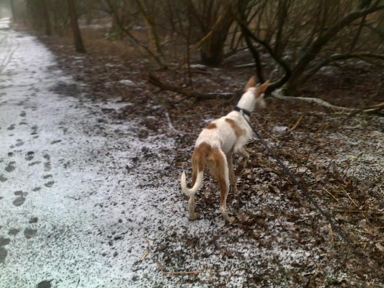 24022011117.jpg