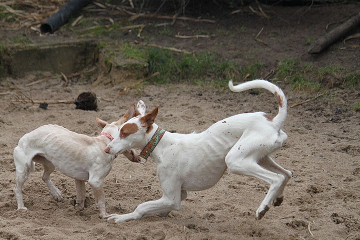 IMG_8360.JPG