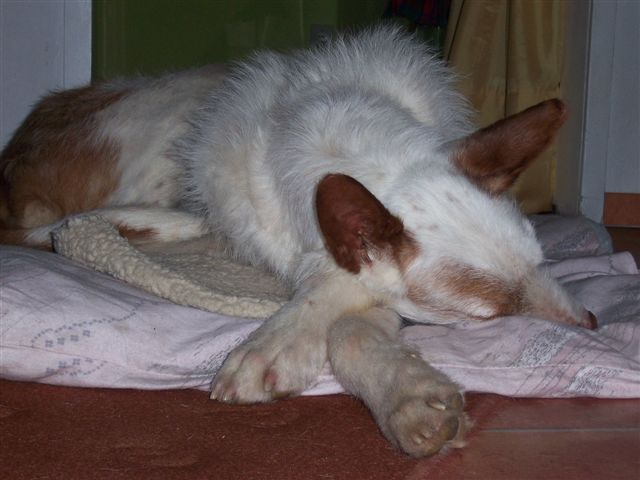 ITO 032.jpg