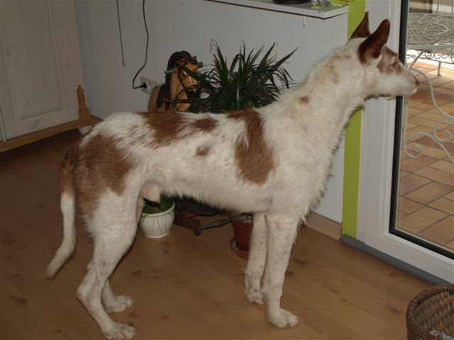 P2282882.JPG
