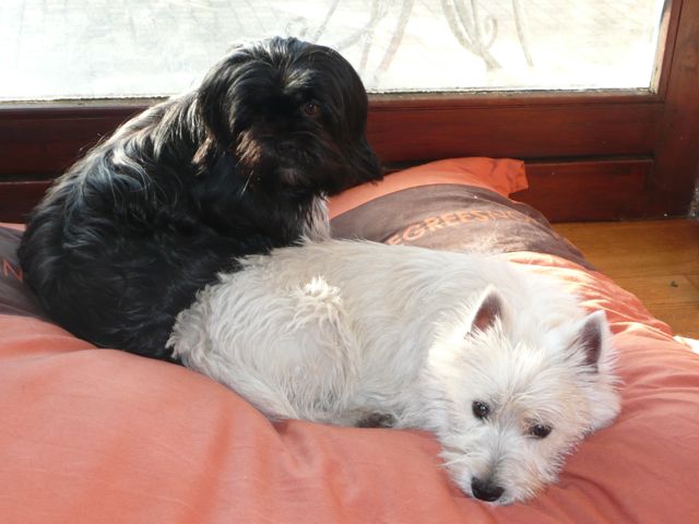 XENA, GRISA – 10.jpg