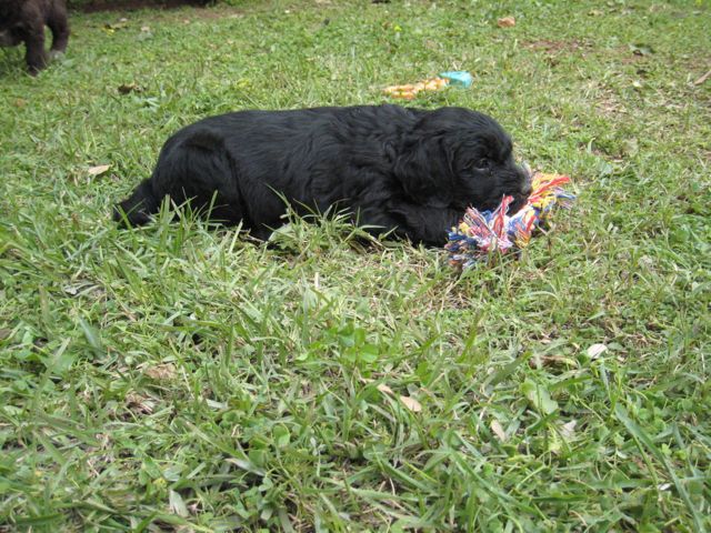 IMG_4133.jpg