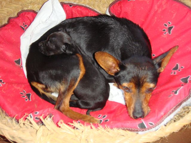 DSC00116.jpg