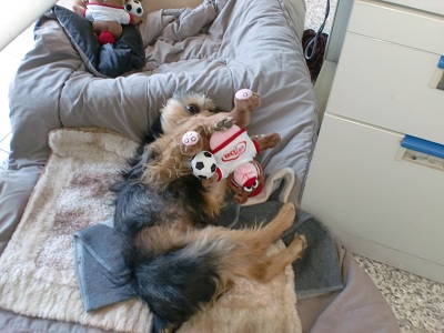 Fritzi5.jpg