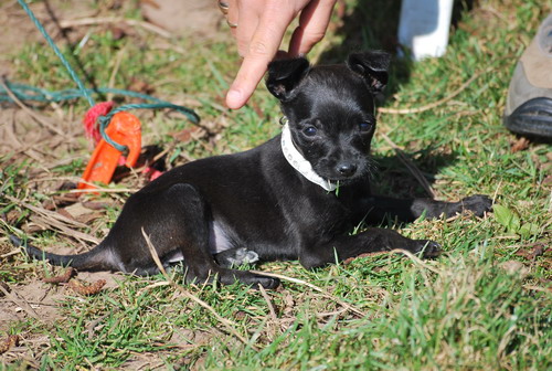 DSC_0370.jpg