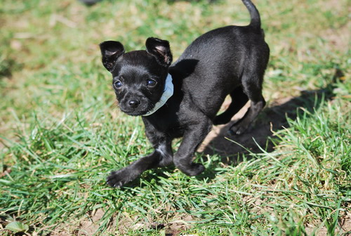 DSC_0368.jpg