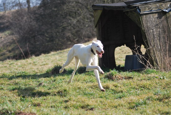 DSC_0405.jpg