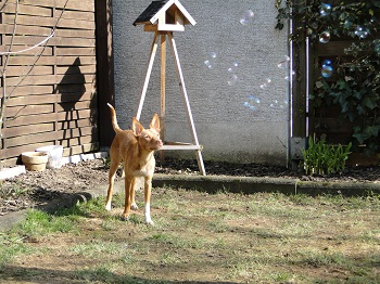 DSC08114.JPG